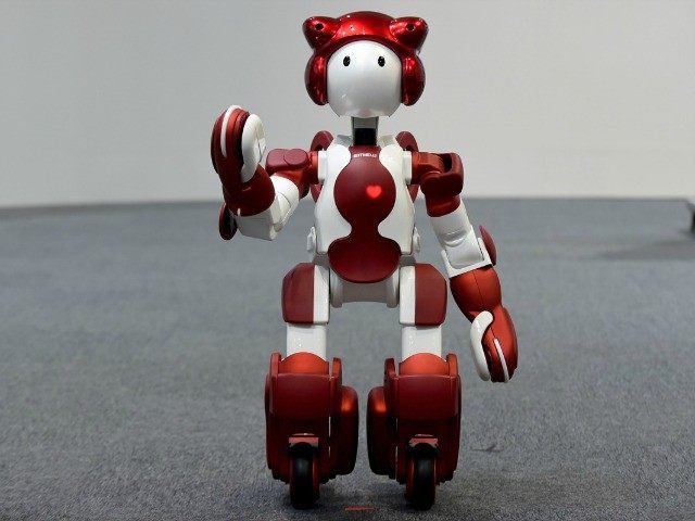 hitachi-robot-heart-getty-640x480
